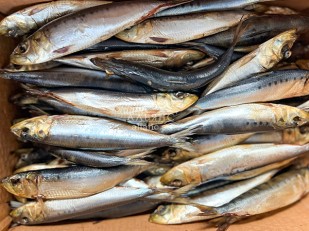 Лаваш со вкусом аджики: Сельдь Иваси х\к