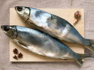 Лакедра: Сиг вяленый